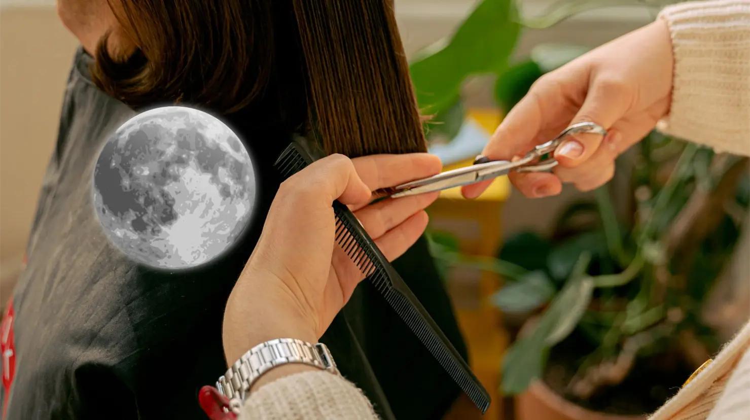 Fechas clave para cortarse el cabello en noviembre 2025, según la Luna ¿Realmente funciona?