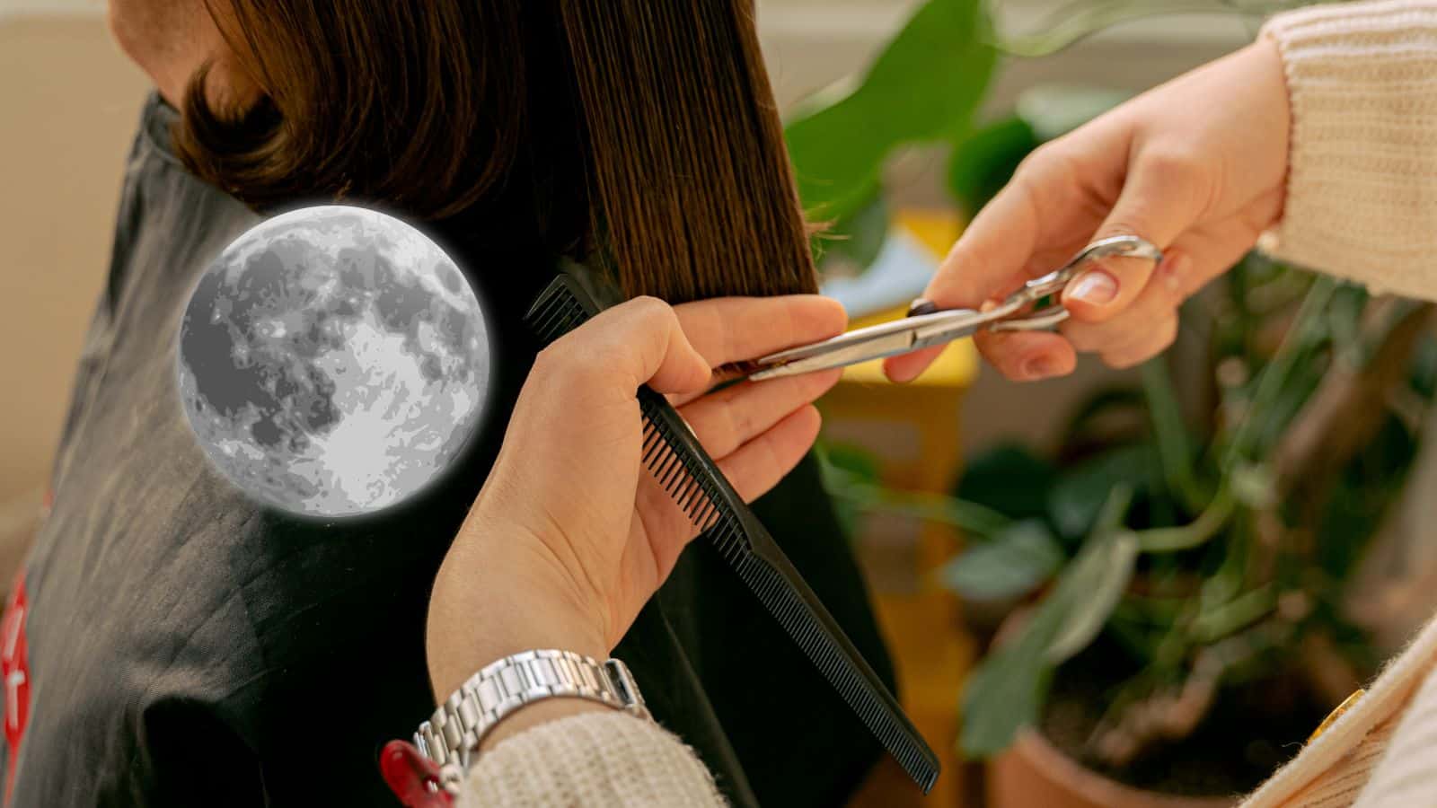 Fechas clave para cortarse el cabello en noviembre 2025, según la Luna ¿Realmente funciona?