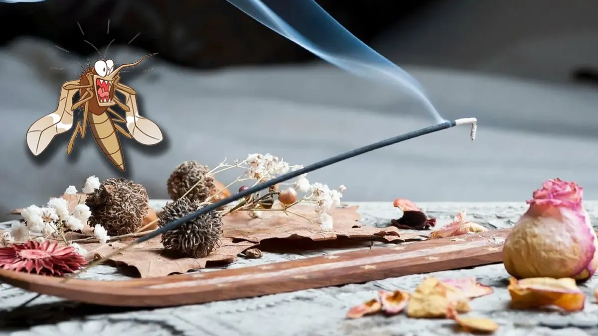 ¿Mosquitos? Con este tipo de incienso puedes ayudar a erradicarlos