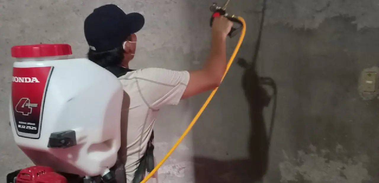 Habrá campaña intensiva contra el dengue en Cajeme
