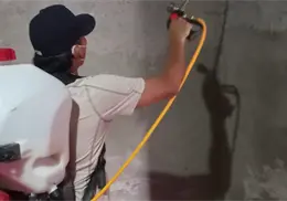 Habrá campaña intensiva contra el dengue en Cajeme