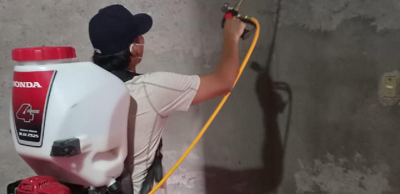 Habrá campaña intensiva contra el dengue en Cajeme