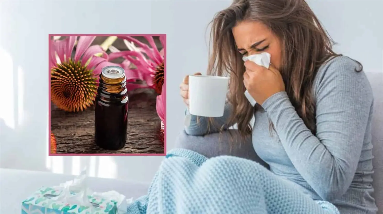 Equinácea: ¿Cómo ayuda al sistema inmunológico contras los síntomas de la gripe?