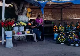 Se instalarán cerca de 40 vendedores de flores por el Día de Muertos en Cajeme