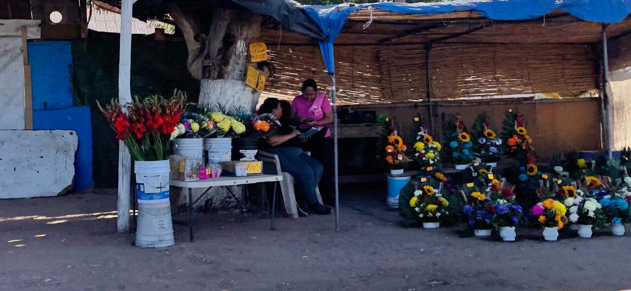 Se instalarán cerca de 40 vendedores de flores por el Día de Muertos en Cajeme