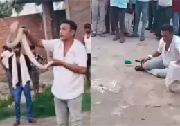 VIDEO | Muere encantador de cobras ante el público; lo mordió una de las serpientes