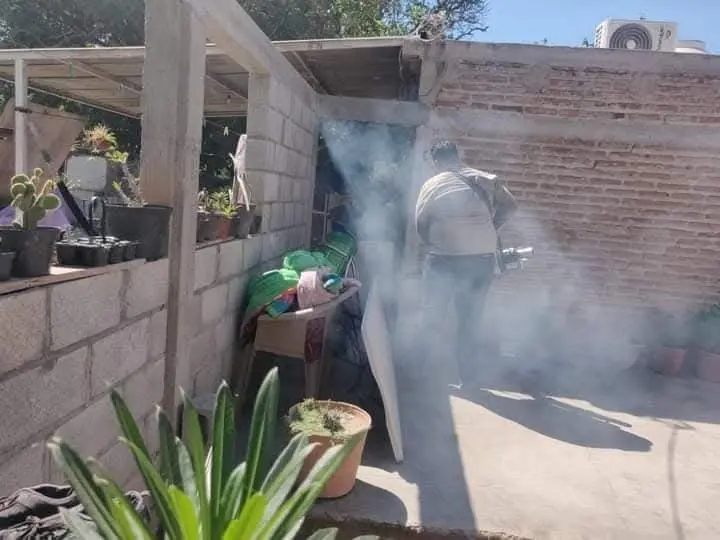 Llega Navojoa a 22 casos por dengue