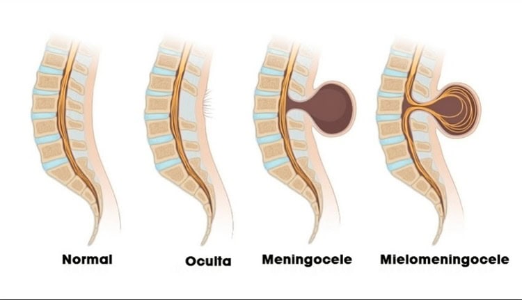 imagen-cuerpo imagen-cuerpo