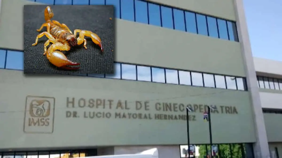 IMSS: muerte de niña picada por alacrán en kínder de Hermosillo fue por falta de antídoto