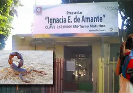 Niña sufre la picadura de un alacrán en un kínder de Hermosillo y muere Niña sufre la picadura de un alacrán en un kínder de Hermosillo y muere