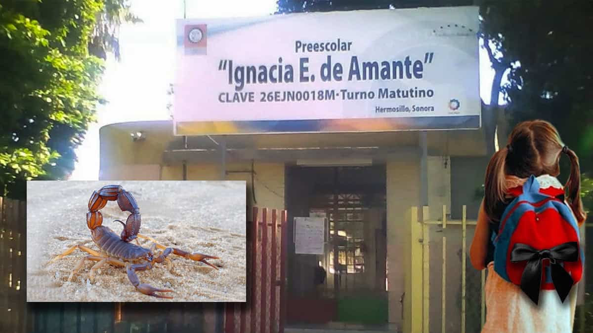 Niña sufre la picadura de un alacrán en un kínder de Hermosillo y muere