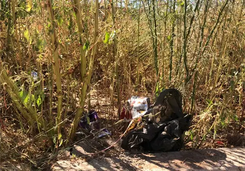 Persisten baldíos sucios en Cajeme Persisten baldíos sucios en Cajeme