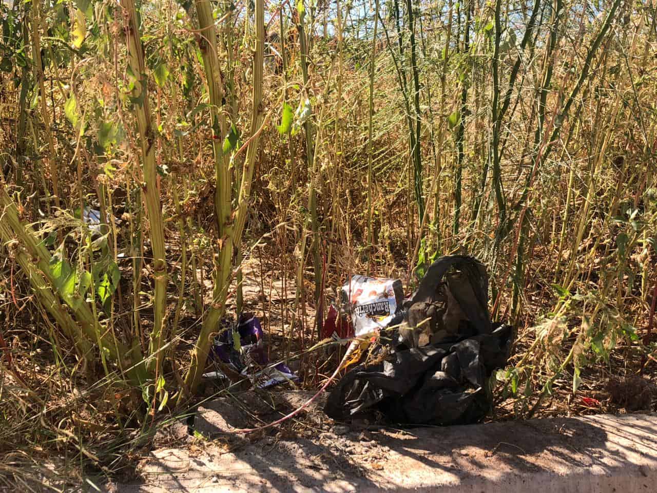 Persisten baldíos sucios en Cajeme