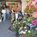 Esperan florerías 100% de aumento en ventas Esperan florerías 100% de aumento en ventas