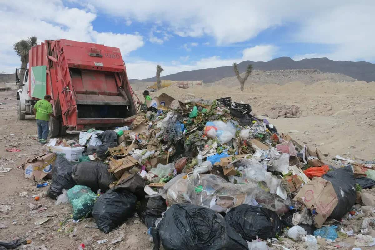 De basura a energía: investigadores desarrollan proceso de fermentación sostenible