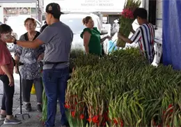 Arriban el miércoles las flores a Cajeme Arriban el miércoles las flores a Cajeme