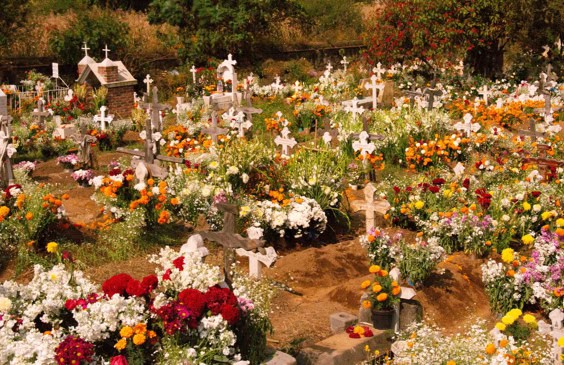 imagen-cuerpo imagen-cuerpo