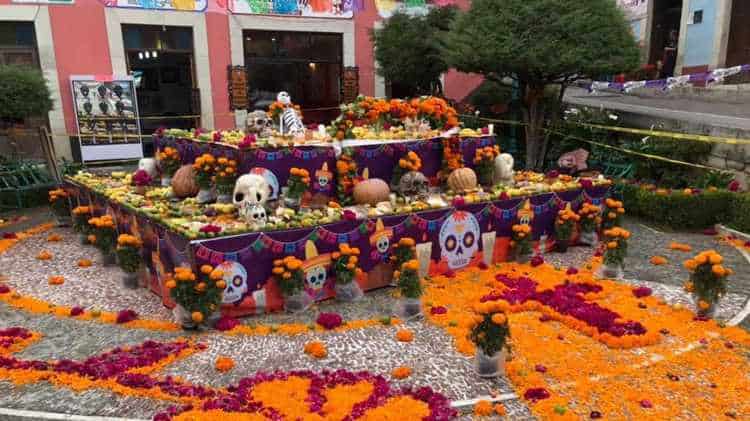 imagen-cuerpo imagen-cuerpo