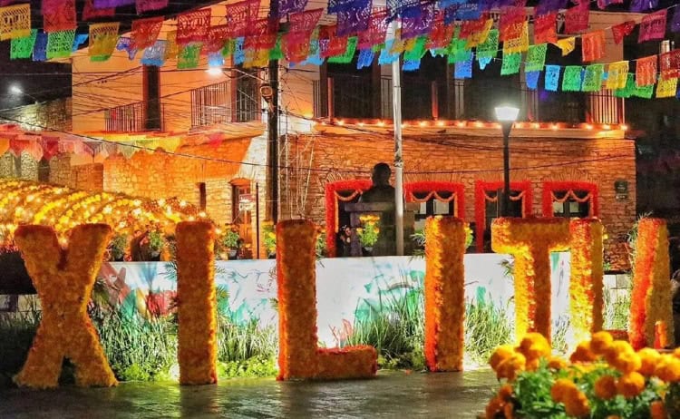 imagen-cuerpo imagen-cuerpo