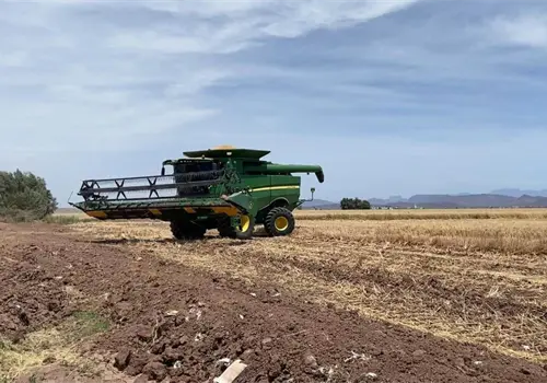 Reciben productores el apoyo prometido Reciben productores el apoyo prometido