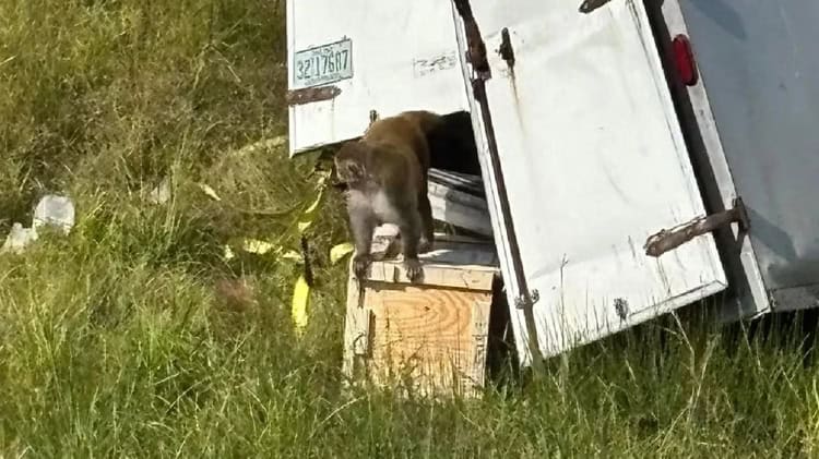 imagen-cuerpo imagen-cuerpo