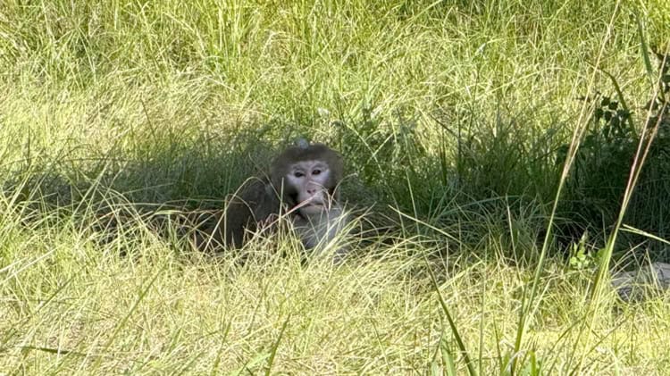 imagen-cuerpo imagen-cuerpo