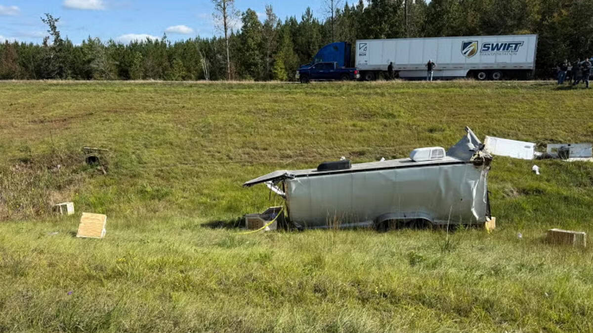 Buscan con urgencia a mono agresivo e infectado de enfermedades contagiosas a humanos