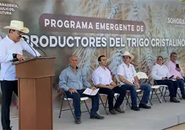 Apoya Alfonso Durazo al campo sonorense con incentivo al trigo entregado en Navojoa Apoya Alfonso Durazo al campo sonorense con incentivo al trigo entregado en Navojoa