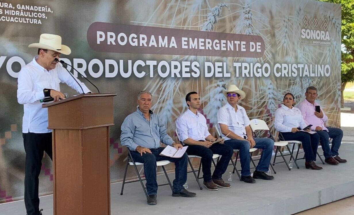 Apoya Alfonso Durazo al campo sonorense con incentivo al trigo entregado en Navojoa