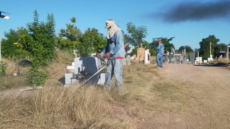 imagen-cuerpo imagen-cuerpo