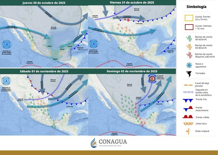 imagen-cuerpo imagen-cuerpo