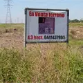 Malbaratan terrenos en el Valle del Yaqui Malbaratan terrenos en el Valle del Yaqui