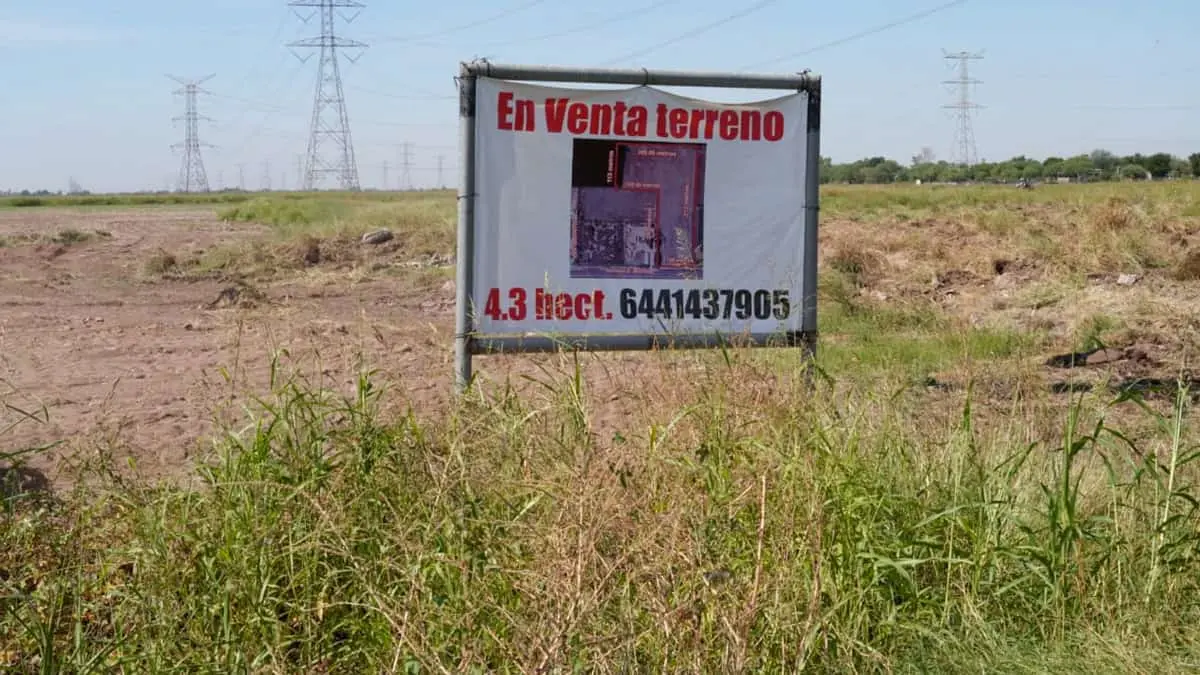 Malbaratan terrenos en el Valle del Yaqui