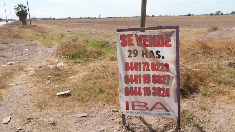 imagen-cuerpo imagen-cuerpo