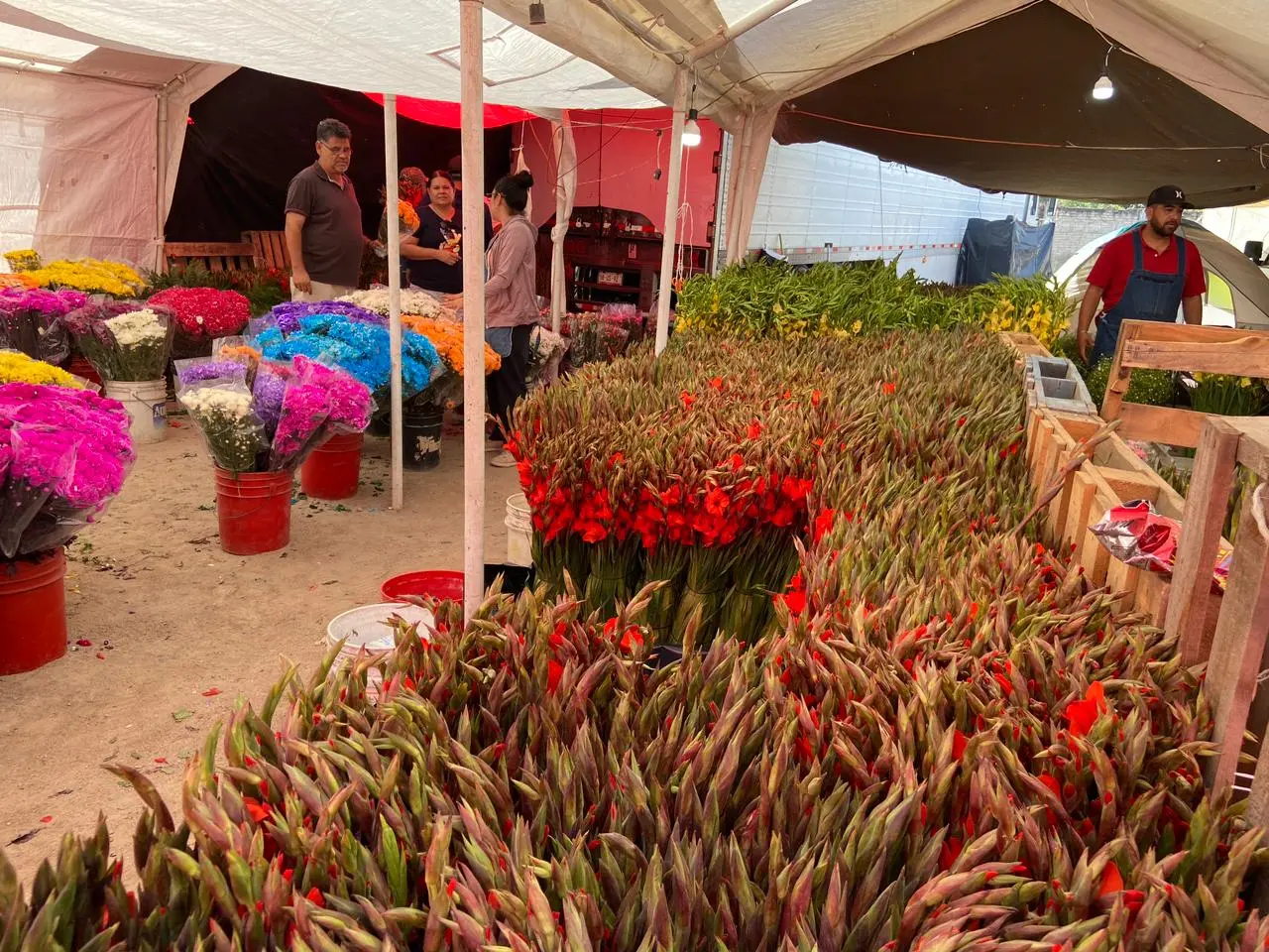 El Mercado de Abastos de Navojoa se llena de color con la flor del Día de Muertos