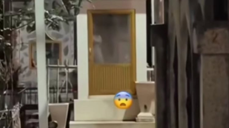 imagen-cuerpo imagen-cuerpo