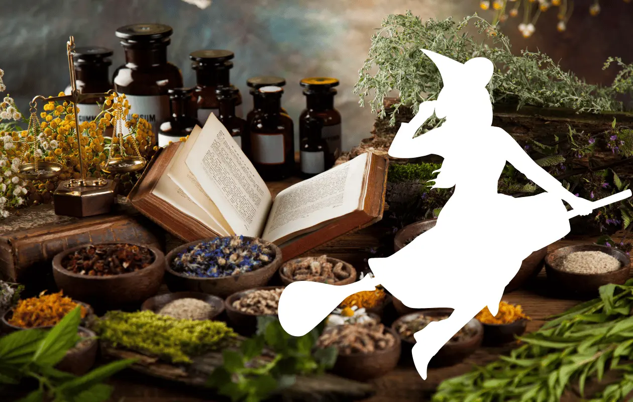 Durante mucho tiempo se le llamó así a mujeres solteras o de edad avanzada.