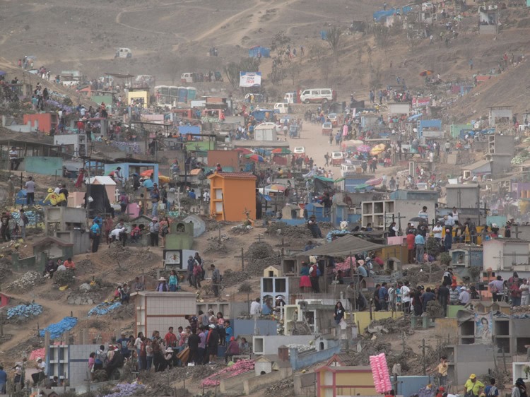 imagen-cuerpo imagen-cuerpo