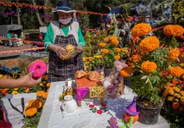 Consejos para conservar las flores del altar por más tiempo, según Huertos y Más Consejos para conservar las flores del altar por más tiempo, según Huertos y Más