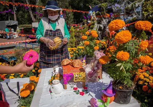 Consejos para conservar las flores del altar por más tiempo, según Huertos y Más