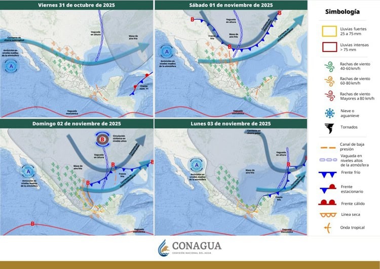 imagen-cuerpo imagen-cuerpo