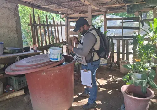 Dengue acecha en el Mayo