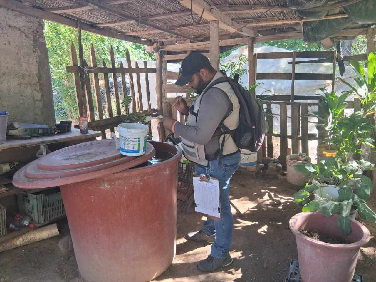 Dengue acecha en el Mayo