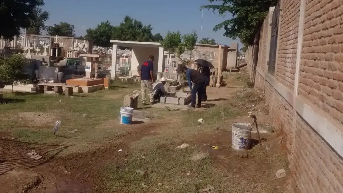 Encuentran panales de abejas en panteones de Etchojoa durante limpieza por Día de Muertos