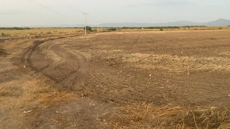 imagen-cuerpo imagen-cuerpo