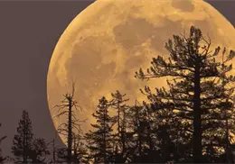 La superluna más grande del año llegará con un pico de lluvia de meteoritos La superluna más grande del año llegará con un pico de lluvia de meteoritos