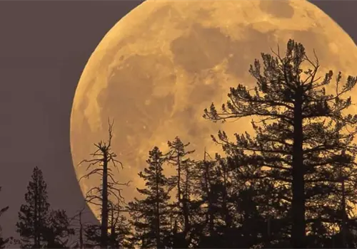 La superluna más grande del año llegará con un pico de lluvia de meteoritos