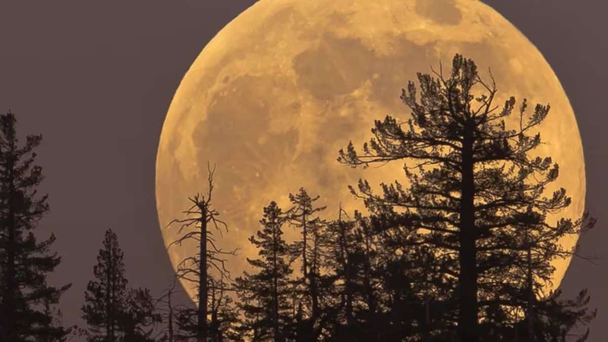 La superluna más grande del año llegará con un pico de lluvia de meteoritos