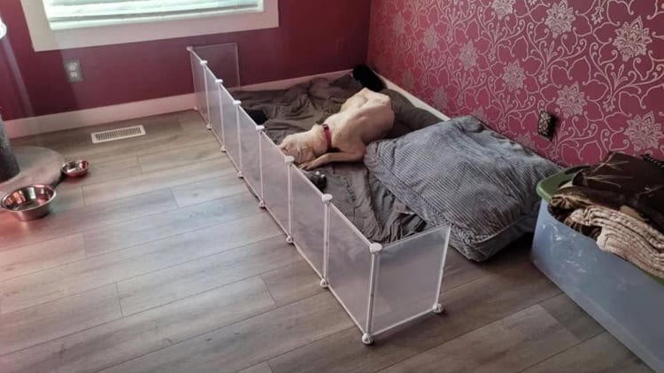 imagen-cuerpo imagen-cuerpo