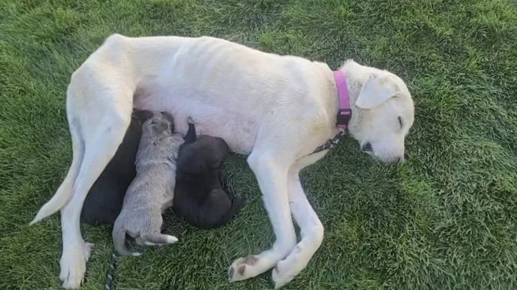 imagen-cuerpo imagen-cuerpo